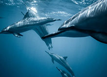 金沙app——开启您的智慧娱乐新时代